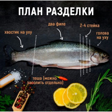 Разделка рыбы базовая
